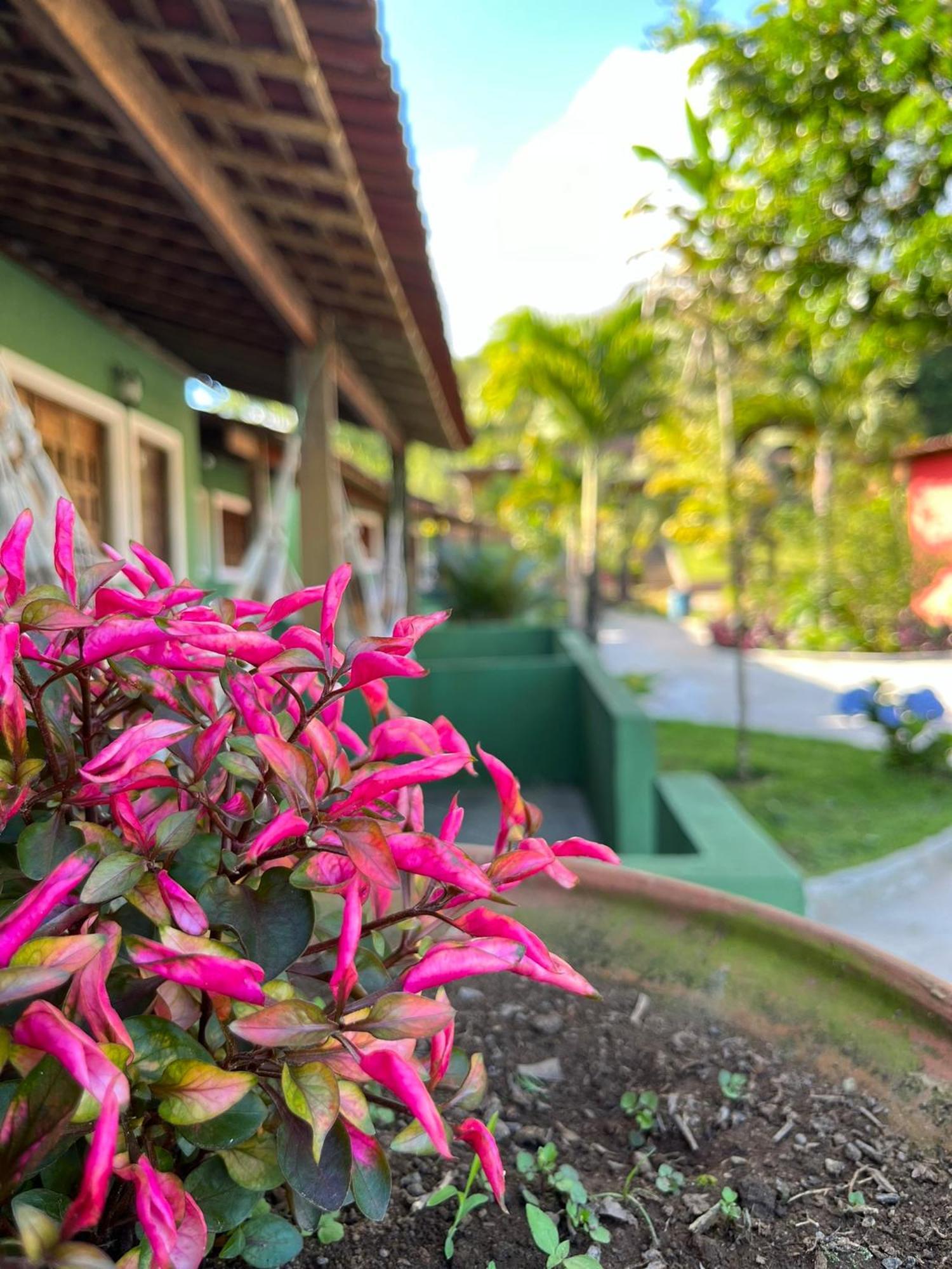 Pousada E Restaurante Alto Da Serra Бониту Экстерьер фото
