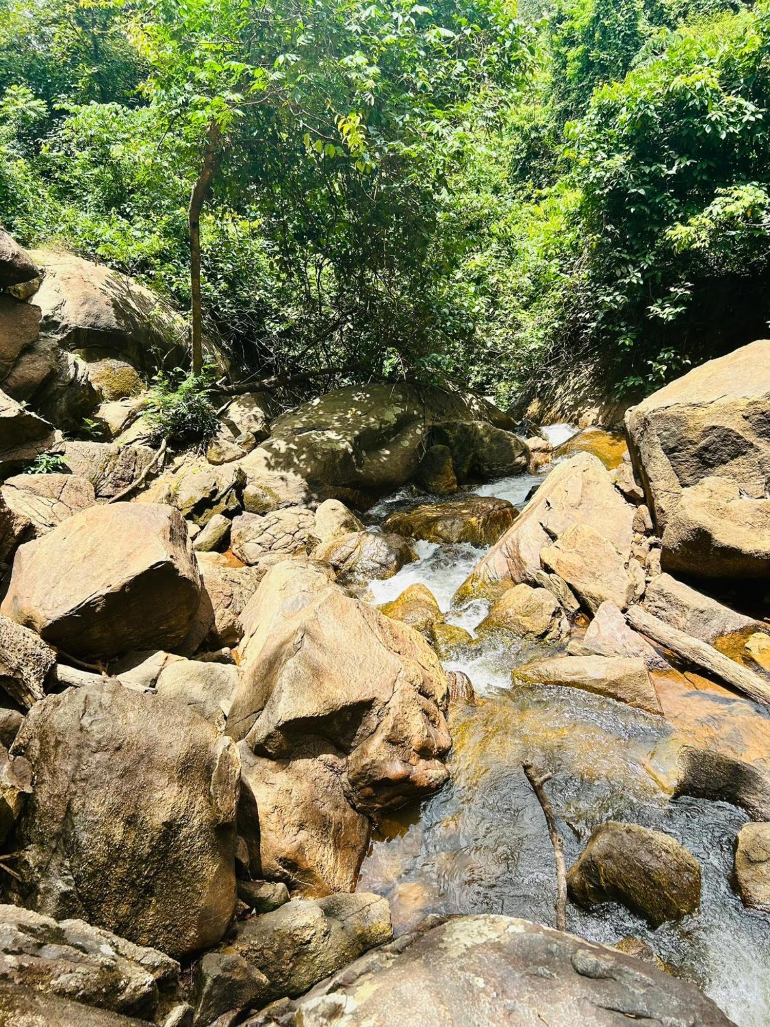 Pousada E Restaurante Alto Da Serra Бониту Экстерьер фото